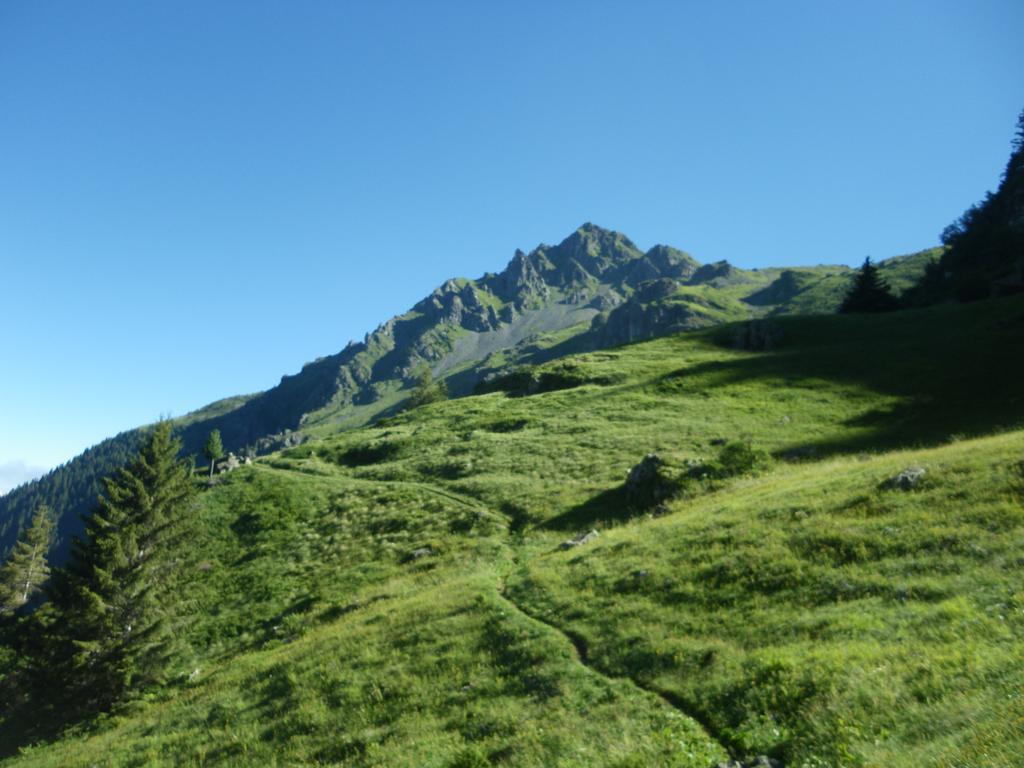 Gite Le Cerf De Belledonne Sainte-Agnès Eksteriør bilde
