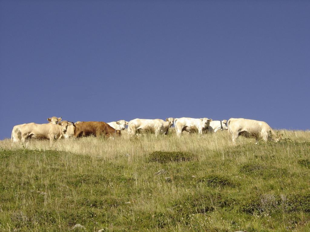 Gite Le Cerf De Belledonne Sainte-Agnès Eksteriør bilde